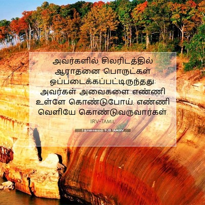 Picture 07 - 1 நாளாகமம் 9:28 TAMIRV - அவர்களில் - Bible Verse Picture