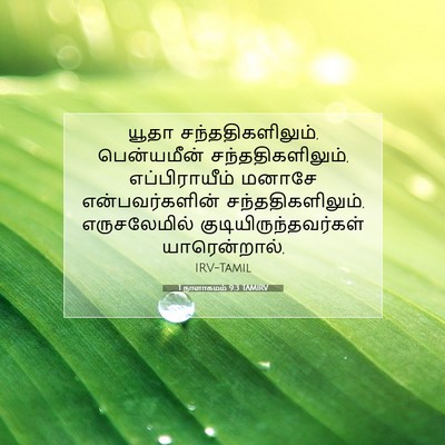 Picture 07 - 1 நாளாகமம் 9:3 TAMIRV - யூதா - Bible Verse Picture