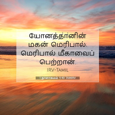 Picture 07 - 1 நாளாகமம் 9:40 TAMIRV - யோனத்தானின் மகன் - Bible Verse Picture