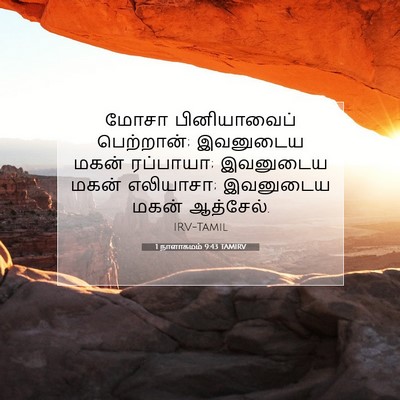 Picture 07 - 1 நாளாகமம் 9:43 TAMIRV - மோசா பினியாவைப் - Bible Verse Picture