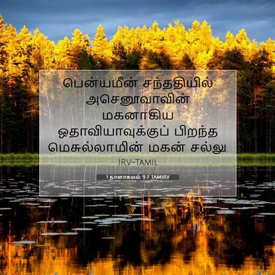 Picture 07 - 1 நாளாகமம் 9:7 TAMIRV - பென்யமீன் - Bible Verse Picture