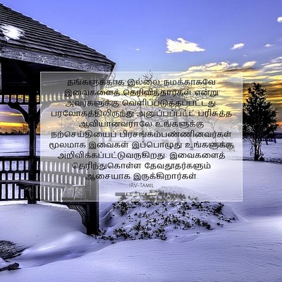 Picture 07 - 1 பேதுரு 1:12 TAMIRV - தங்களுக்காக - Bible Verse Picture