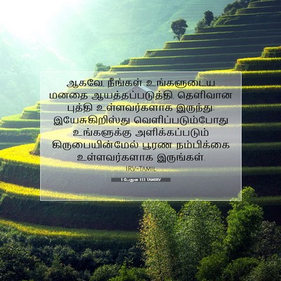 Picture 07 - 1 பேதுரு 1:13 TAMIRV - ஆகவே, நீங்கள் - Bible Verse Picture