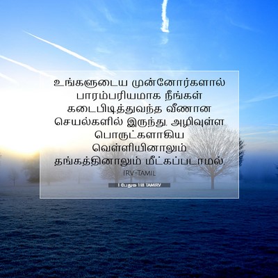 Picture 07 - 1 பேதுரு 1:18 TAMIRV - உங்களுடைய - Bible Verse Picture