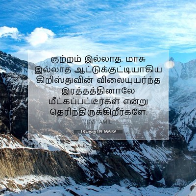 Picture 07 - 1 பேதுரு 1:19 TAMIRV - குற்றம் இல்லாத, - Bible Verse Picture