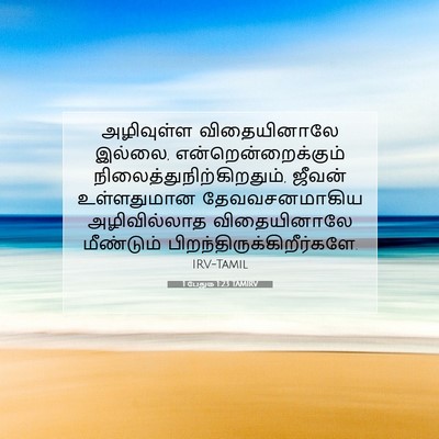 Picture 07 - 1 பேதுரு 1:23 TAMIRV - அழிவுள்ள - Bible Verse Picture