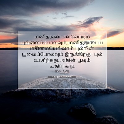 Picture 07 - 1 பேதுரு 1:24 TAMIRV - மனிதர்கள் - Bible Verse Picture