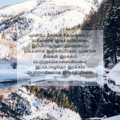 Picture 07 - 1 பேதுரு 2:10 TAMIRV - முன்பே நீங்கள் - Bible Verse Picture