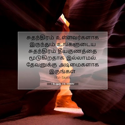 Picture 07 - 1 பேதுரு 2:16 TAMIRV - சுதந்திரம் - Bible Verse Picture
