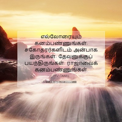 Picture 07 - 1 பேதுரு 2:17 TAMIRV - எல்லோரையும் - Bible Verse Picture