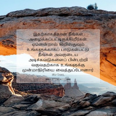 Picture 07 - 1 பேதுரு 2:21 TAMIRV - இதற்காகத்தான் - Bible Verse Picture