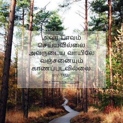 Picture 07 - 1 பேதுரு 2:22 TAMIRV - அவர் பாவம் - Bible Verse Picture