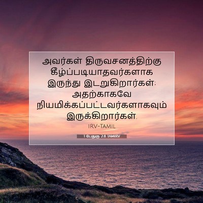 Picture 07 - 1 பேதுரு 2:8 TAMIRV - அவர்கள் - Bible Verse Picture