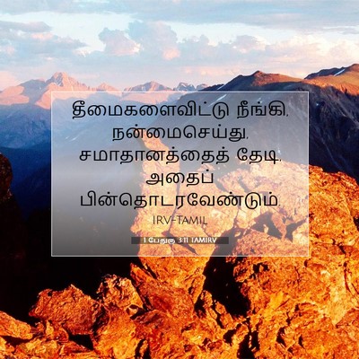 Picture 07 - 1 பேதுரு 3:11 TAMIRV - தீமைகளைவிட்டு - Bible Verse Picture