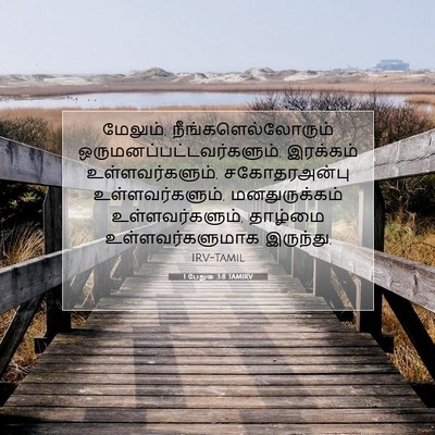 Picture 07 - 1 பேதுரு 3:8 TAMIRV - மேலும், - Bible Verse Picture