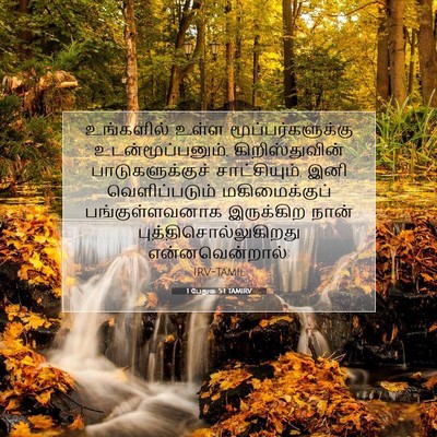 Picture 07 - 1 பேதுரு 5:1 TAMIRV - உங்களில் உள்ள - Bible Verse Picture