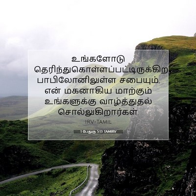Picture 07 - 1 பேதுரு 5:13 TAMIRV - உங்களோடு - Bible Verse Picture