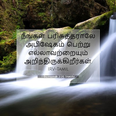 Picture 07 - 1 யோவான் 2:20 TAMIRV - நீங்கள் - Bible Verse Picture