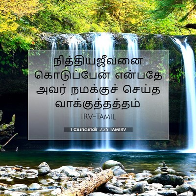 Picture 07 - 1 யோவான் 2:25 TAMIRV - நித்தியஜீவனை - Bible Verse Picture