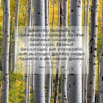 Picture 07 - 1 யோவான் 3:10 TAMIRV - இதினாலே தேவனுடைய - Bible Verse Picture