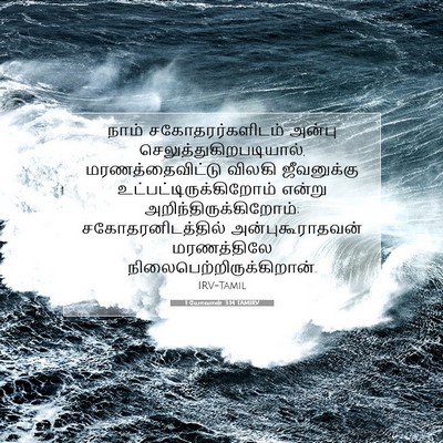 Picture 07 - 1 யோவான் 3:14 TAMIRV - நாம் - Bible Verse Picture
