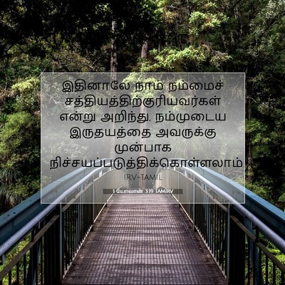 Picture 07 - 1 யோவான் 3:19 TAMIRV - இதினாலே நாம் - Bible Verse Picture
