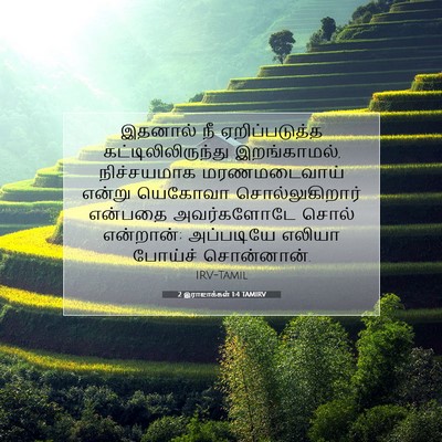 Picture 07 - 2 இராஜாக்கள் 1:4 TAMIRV - இதனால் நீ - Bible Verse Picture