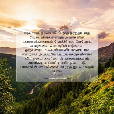 Picture 07 - 2 இராஜாக்கள் 10:25 TAMIRV - சர்வாங்க - Bible Verse Picture