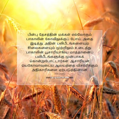 Picture 07 - 2 இராஜாக்கள் 11:18 TAMIRV - பின்பு தேசத்தின் - Bible Verse Picture