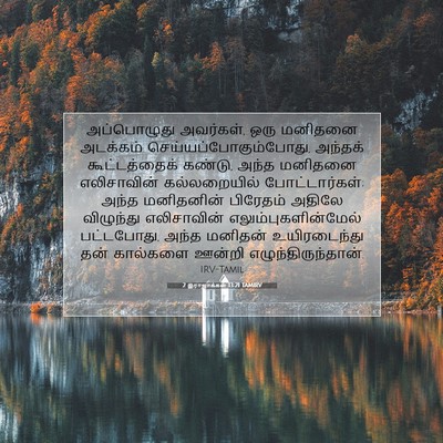 Picture 07 - 2 இராஜாக்கள் 13:21 TAMIRV - அப்பொழுது - Bible Verse Picture