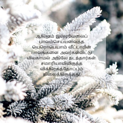 Picture 07 - 2 இராஜாக்கள் 13:6 TAMIRV - ஆகிலும் - Bible Verse Picture