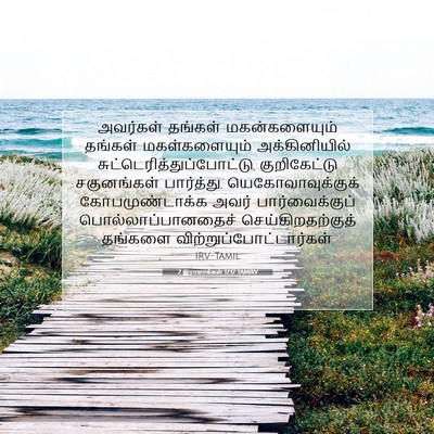 Picture 07 - 2 இராஜாக்கள் 17:17 TAMIRV - அவர்கள் தங்கள் - Bible Verse Picture