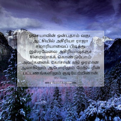 Picture 07 - 2 இராஜாக்கள் 17:6 TAMIRV - ஓசெயாவின் - Bible Verse Picture
