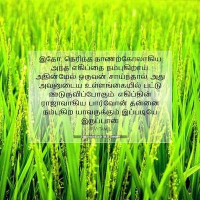 Picture 07 - 2 இராஜாக்கள் 18:21 TAMIRV - இதோ, நெரிந்த - Bible Verse Picture