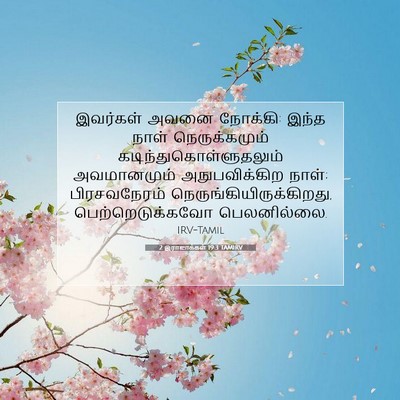 Picture 07 - 2 இராஜாக்கள் 19:3 TAMIRV - இவர்கள் அவனை - Bible Verse Picture