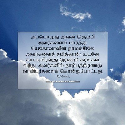 Picture 07 - 2 இராஜாக்கள் 2:24 TAMIRV - அப்பொழுது அவன் - Bible Verse Picture