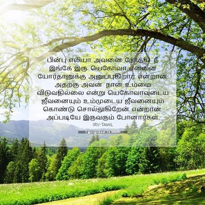 Picture 07 - 2 இராஜாக்கள் 2:6 TAMIRV - பின்பு எலியா அவனை - Bible Verse Picture