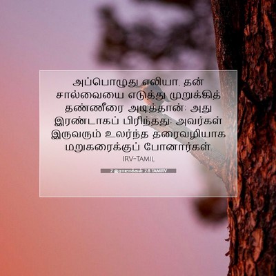 Picture 07 - 2 இராஜாக்கள் 2:8 TAMIRV - அப்பொழுது எலியா, - Bible Verse Picture