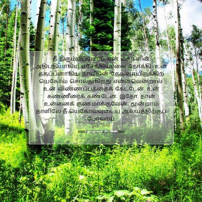 Picture 07 - 2 இராஜாக்கள் 20:5 TAMIRV - நீ - Bible Verse Picture