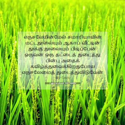 Picture 07 - 2 இராஜாக்கள் 21:13 TAMIRV - எருசலேமின்மேல் - Bible Verse Picture