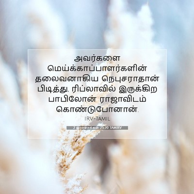 Picture 07 - 2 இராஜாக்கள் 25:20 TAMIRV - அவர்களை - Bible Verse Picture