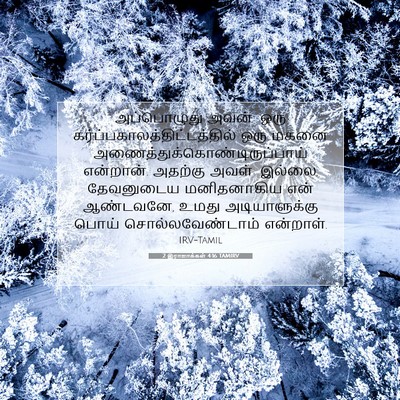 Picture 07 - 2 இராஜாக்கள் 4:16 TAMIRV - அப்பொழுது அவன்: - Bible Verse Picture