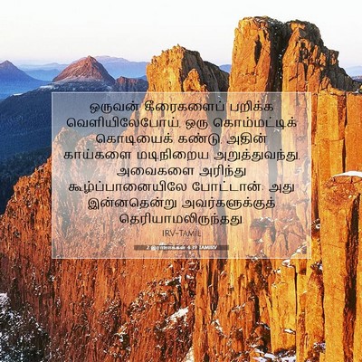 Picture 07 - 2 இராஜாக்கள் 4:39 TAMIRV - ஒருவன் கீரைகளைப் - Bible Verse Picture