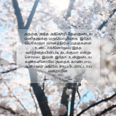 Picture 07 - 2 இராஜாக்கள் 7:19 TAMIRV - அதற்கு அந்த - Bible Verse Picture