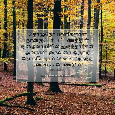 Picture 07 - 2 இராஜாக்கள் 7:3 TAMIRV - தொழுநோயாளிகளான - Bible Verse Picture