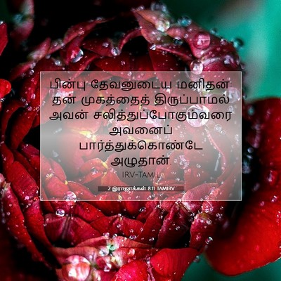 Picture 07 - 2 இராஜாக்கள் 8:11 TAMIRV - பின்பு தேவனுடைய - Bible Verse Picture