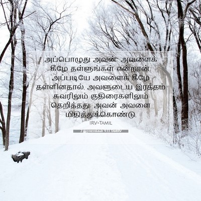 Picture 07 - 2 இராஜாக்கள் 9:33 TAMIRV - அப்பொழுது அவன்: - Bible Verse Picture