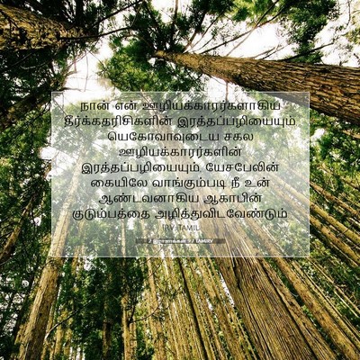 Picture 07 - 2 இராஜாக்கள் 9:7 TAMIRV - நான் என் - Bible Verse Picture