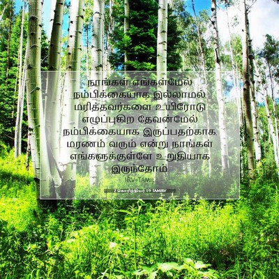 Picture 07 - 2 கொரிந்தியர் 1:9 TAMIRV - நாங்கள் - Bible Verse Picture