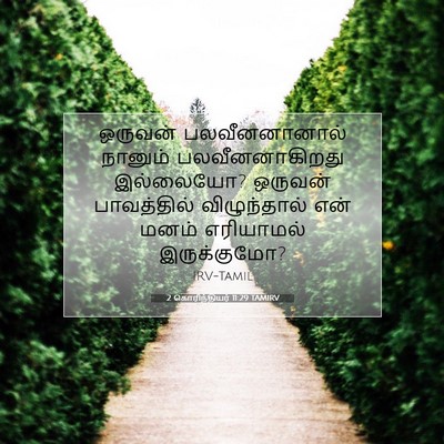 Picture 07 - 2 கொரிந்தியர் 11:29 TAMIRV - ஒருவன் - Bible Verse Picture